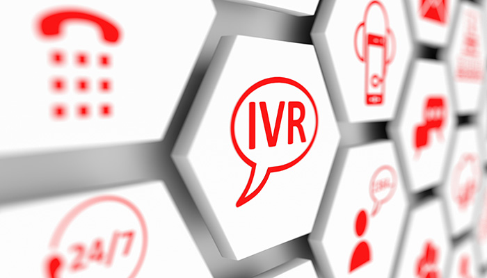 IVR features