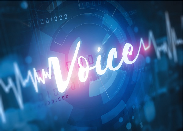 The benefits of Voice Biometrics