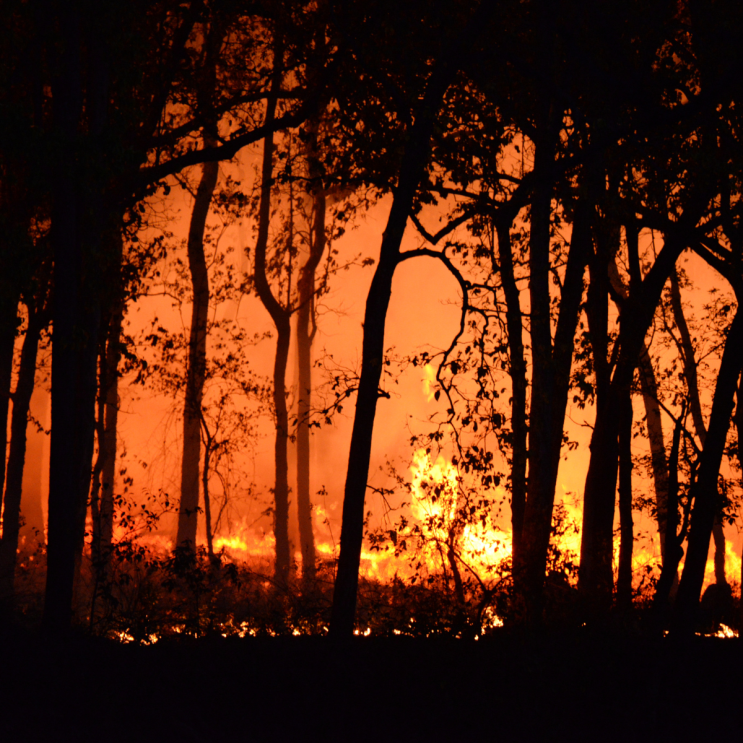The fight against wildfires using telecoms
